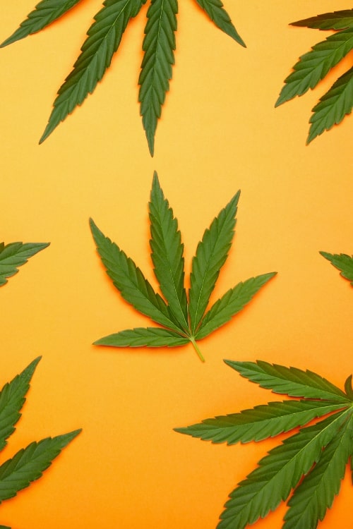 adicción al cannabis